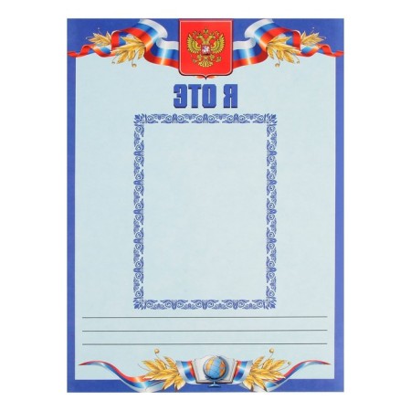 Lesets sheets for a schoolboy portfolio, 30 sheets (title, content, 28 sections) "Russian schoolboy", in a folder-25