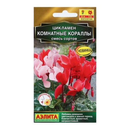 Flower seeds Cyclamen "Indoor corals", a mixture of varieties, 3 pcs