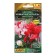 Flower seeds Cyclamen "Indoor corals", a mixture of varieties, 3 pcs