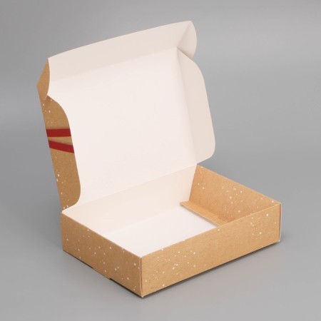 Folding box "Parcel", 21 x 15 x 5 cm, new year-4