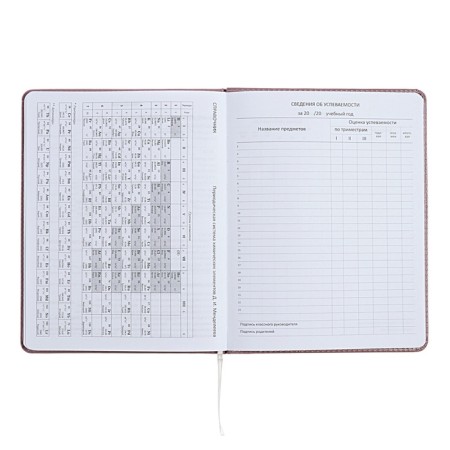 Universal diary for grade 1-11 No Comment, solid cover, artificial leather, foam rubber, silk-screen printing, liesse, 80 g/m2-10