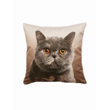 Decorative pillow on the sofa 