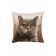 Decorative pillow on the sofa "Cat British", size 40x40 cm