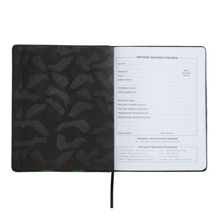 Universal Diary Grade 1-11, 48 sheets "fighter", solid cover of artificial leather, lies, universal cheat sheet, block 80 g/m2-3