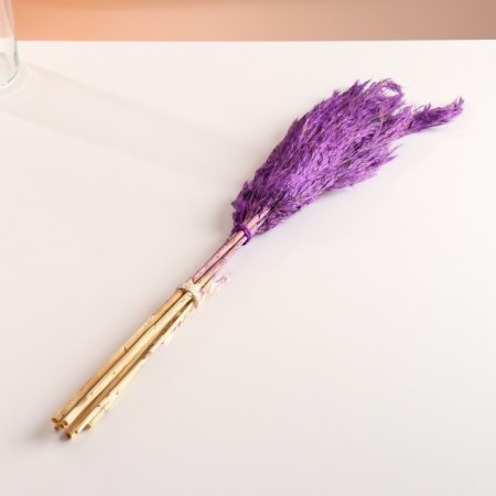 Set of dried flowers "reed", banch length 65 (+/- 6 cm), purple-3