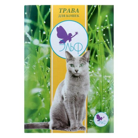 Elph Grass for Cats, a large container