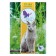 Elph Grass for Cats, a large container