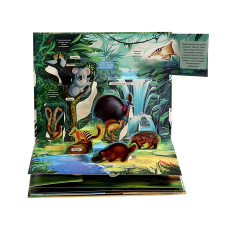 3D Encyclopedia Panoramk "Jungle"-5