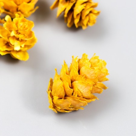 Decor for creativity "pine-yellow-yellow" size "size 2-4 cm-1