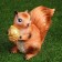 Garden figure "Squirrel" 24x13x27cm mix