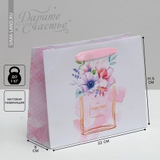 Gift Laminated horizontal package, packaging, 