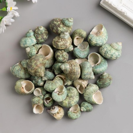 Set of decorative snails 150 grams