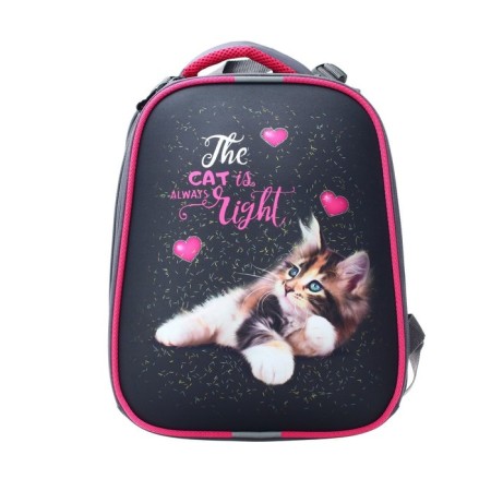 School backpack 38 x 30 x 16 cm, ergonomic back, stavia "cat is always right", gray-4