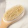 Branch brush made of natural bristles, with a handle, smooth
