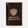 Cover for a pension certificate, crocodile, brown color