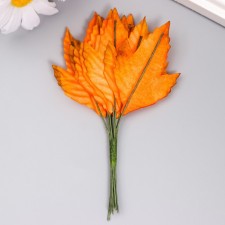 Decor for creativity 