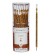 Chernographic pencil 3 mm Artgraphix. Fun "Leopard", NV, three -sided, plastic case