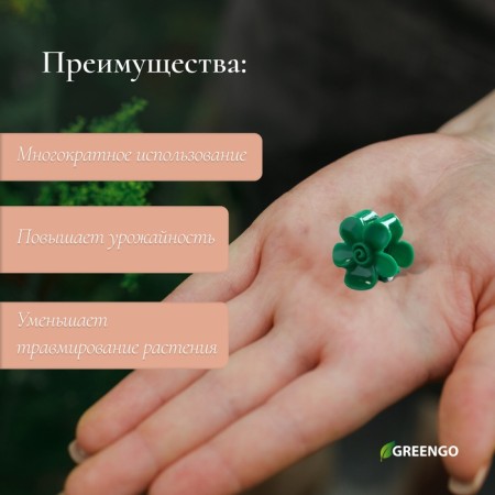 Clips for plants, set 10 pcs "Flower", green-1