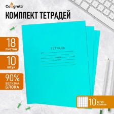 A set of notebooks of 10 pieces, 18 sheets in the cage of the Green Cover PDA, OFSET block, whiteness 92%