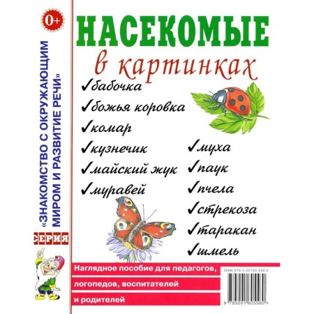 Insects in pictures