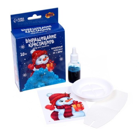 New Year's set for creativity. Growing crystals “New Year! Snowman ", Blue color-2