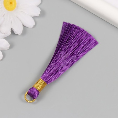 Decor for creativity Textile "Brush. Olivia" Violet set 2 pcs 8x1.2 cm-2