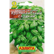 Basil seeds of vegetable 