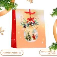 Gift package 