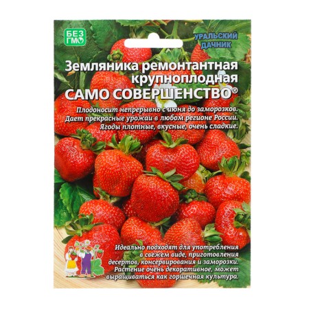 Strawberries "Perfection itself", 10 pcs