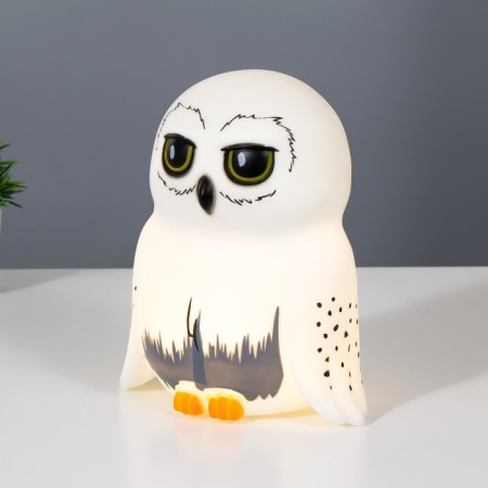 Night Owls LED from white batteries 10.5x15.5x18 cm Risalux-1