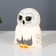 Night Owls LED from white batteries 10.5x15.5x18 cm Risalux