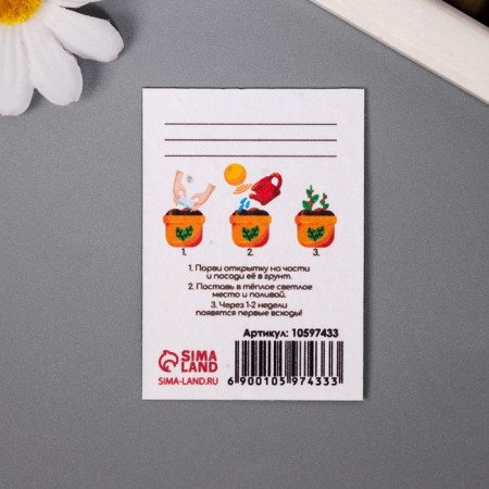 A set of postcards with seeds "grow itself" "Dream" 5*7cm 3 pcs-3