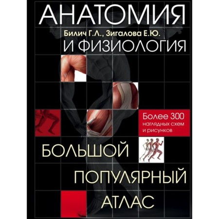 Anatomy and physiology. Large popular atlas. Bilich G. L., Zigalova E. Yu.
