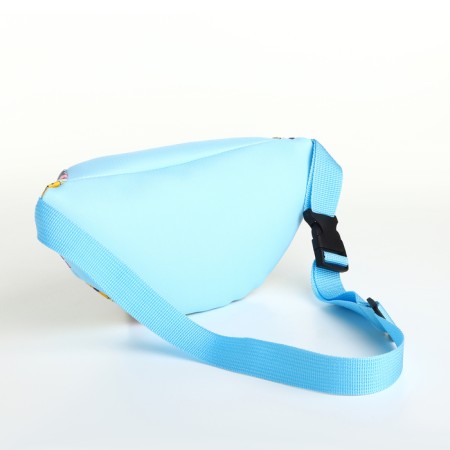 Barry Bag's Bag on a zipper, colorful color-1