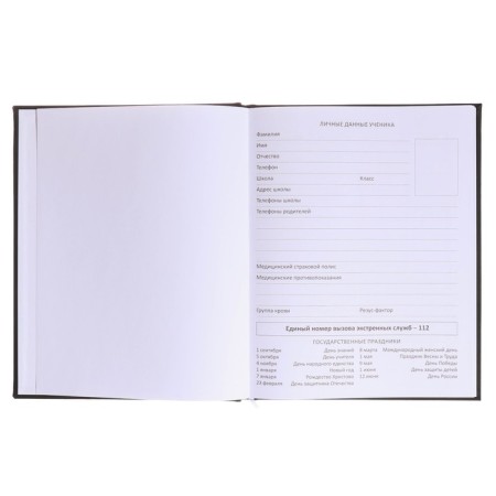 Universal diary for grade 1-11 Break The Limits, hard cover, artificial leather, foam rubber, lies, 80 g/m2-3