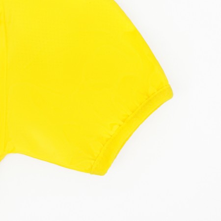 Combiason for dogs, demi -season with a lining, size L (DS 32, OG 48 cm), yellow-12