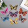 Magnet Plastic "Butterflies Double Wings" holography mix 8x12 cm