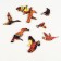 Puzzle wooden figured "Eagle" in the frame