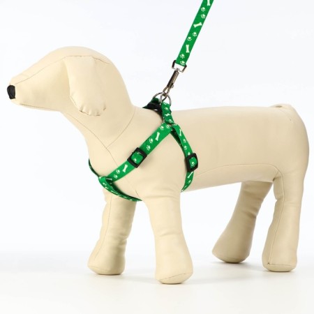 Kapron "Bones and Paws" kit, leash 120 x 1.5 cm, og 30-44 cm, green-2