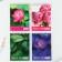 Mix of A6 notebooks, 40 liters on the crest, soft cover "Flowers"
