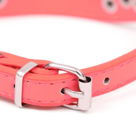Bruther-gear with a puppy, 29-32 x 2.5 cm, artificial leather, red-2