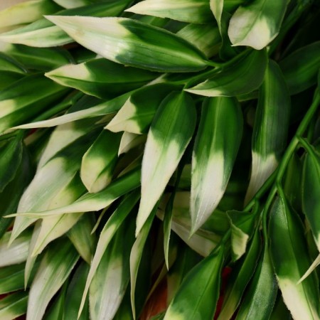 Bouquet "Eucalypt Galant" 30 cm, white-green-1