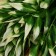Bouquet "Eucalypt Galant" 30 cm, white-green
