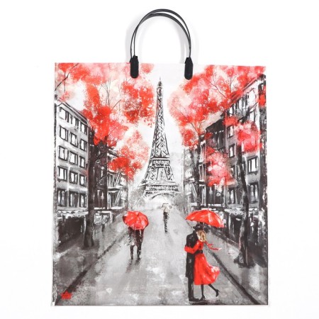 Paris package, polyethylene with a plastic pen, 100 μm 44 x 40 cm