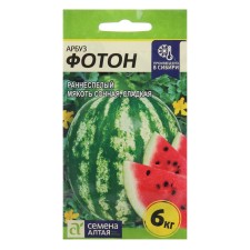 Semyon watermelon 