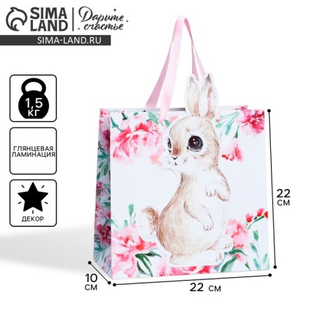 Gift package, packaging, "rabbit", 22 x 22 x 10 cm