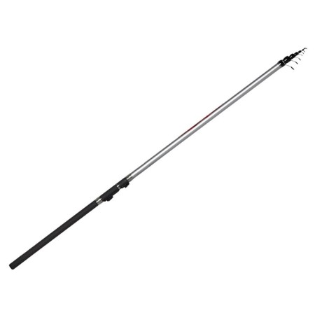 Salmo Diamond Bolognes Medium M, Test 5-20 g, length 6 m.