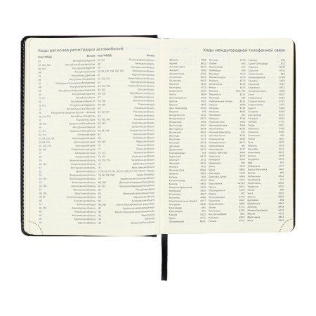 Dated diary 2024 A5 176 sheets, Devente.wild, Firmly covered with artificial leather, gold cut, lies, cream block 70 g/m2, black-11