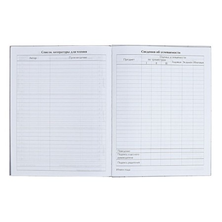 Universal diary for grades 1-11 Anime. Man and Sky, solid cover, glossy lamination, 40 sheets-7