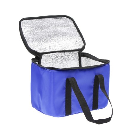 Thermal mosquito Cartage T-12, blue, 18 l, 35x21x24 cm-3